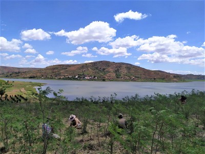 paesaggio malgascio del lago di Itasy