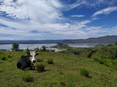 paesaggio malgascio del lago di Itasy
