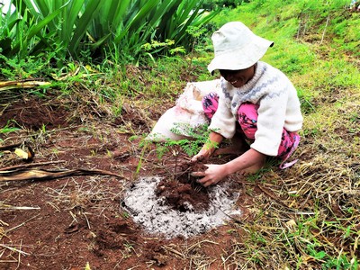 messa a dimora di piante di moringa con la cenere donata dai bimbi dei villaggi